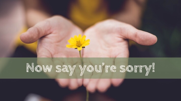 Now say you’re sorry!